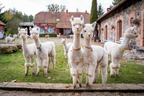 Gościniec Bocianowo in Ogonki